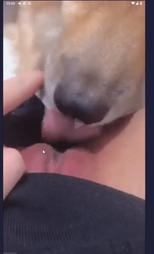 Chú Chó Nhỏ Liếm Lồn Hồng Của Cô Chủ Nhỏ – vietdam.net